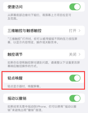 普兰店苹果授权维修站分享iPhone轻点无法唤醒怎么办 