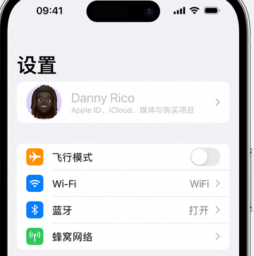 普兰店appleID维修服务iPhone设置中Apple ID显示为灰色无法使用