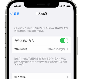 普兰店apple服务站点分享iPhone上个人热点丢失了怎么办