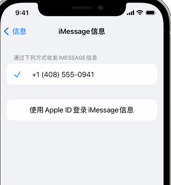 普兰店apple维修iPhone上无法正常发送iMessage信息 