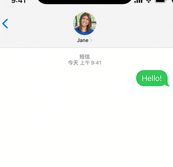 普兰店apple维修iPhone上无法正常发送iMessage信息