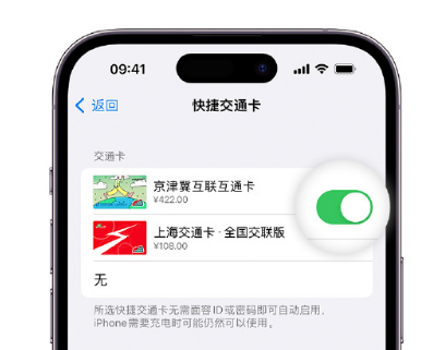 普兰店apple维修点分享iPhone上更换Apple Pay快捷交通卡手绘卡面 