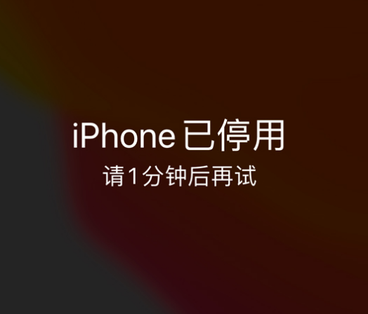 普兰店苹果手机维修分享:iPhone 显示“不可用”或“已停用”怎么办？还能保留数据吗？ 