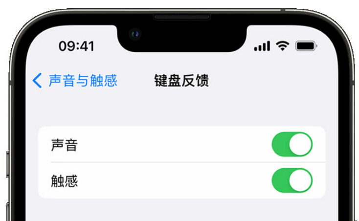 普兰店苹果手机维修分享iPhone 14触感键盘使用方法 