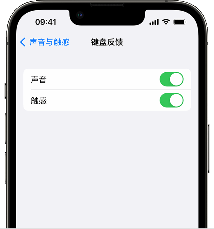 普兰店苹果14维修店分享如何在 iPhone 14 机型中使用触感键盘 