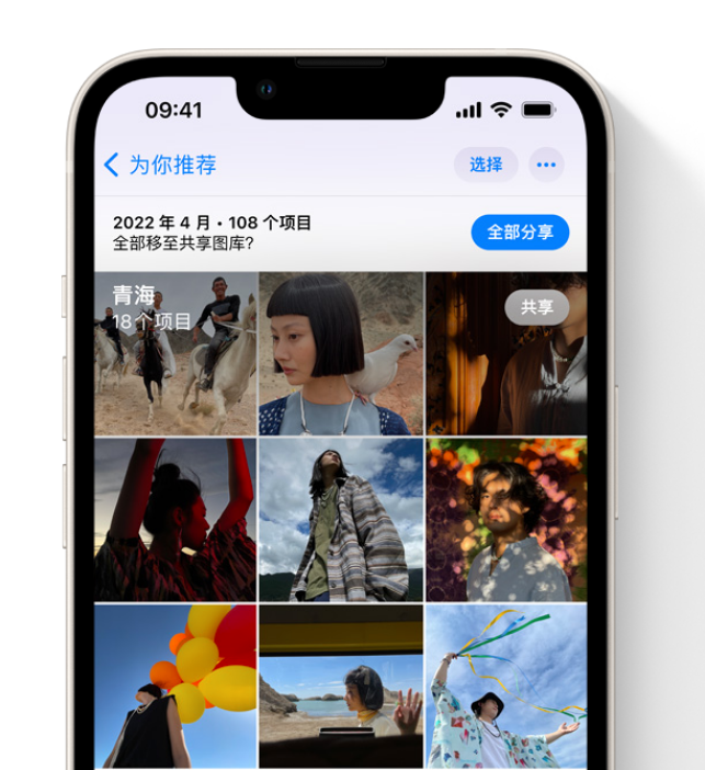 普兰店苹果维修网点分享在 iPhone 上使用共享图库 