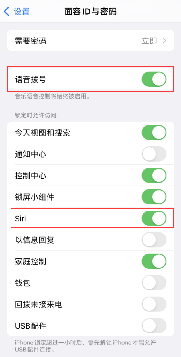 普兰店苹果维修网点分享不解锁 iPhone 的情况下通过 Siri 拨打电话的方法 