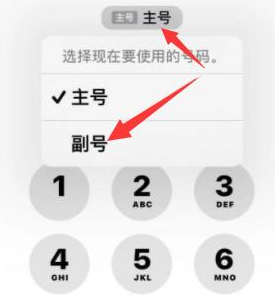 普兰店苹果14维修店分享iPhone 14 Pro Max使用副卡打电话的方法 