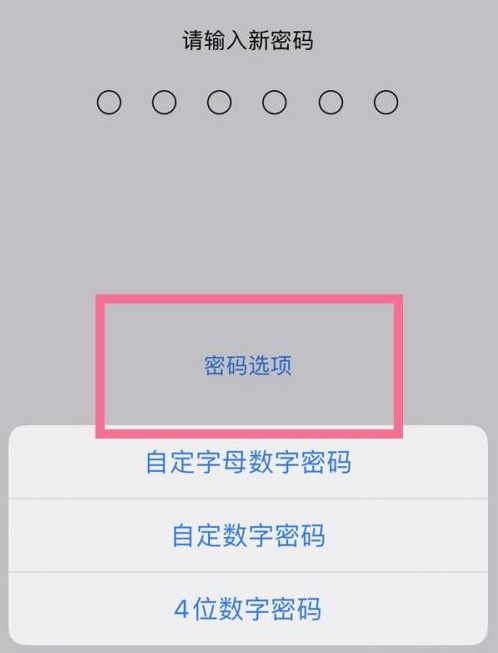 普兰店苹果14维修分享iPhone 14plus设置密码的方法 