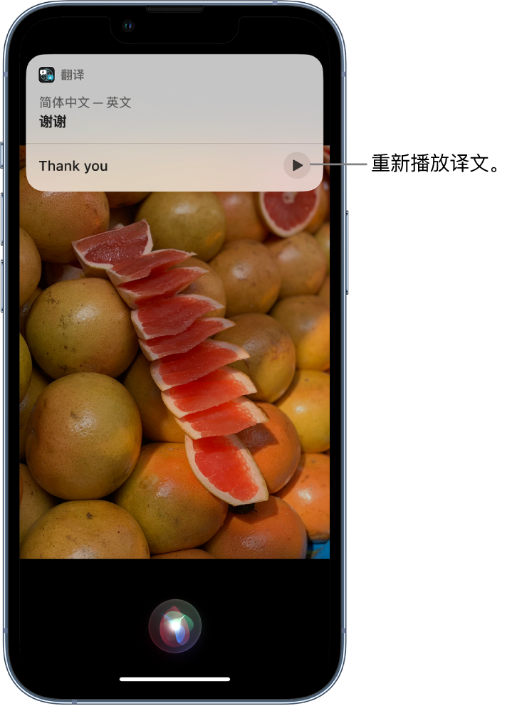 普兰店苹果14维修分享 iPhone 14 机型中使用 Siri：了解 Siri 能帮你做什么 