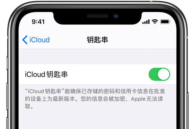 普兰店苹果手机维修分享在 iPhone 上开启 iCloud 钥匙串之后会储存哪些信息 