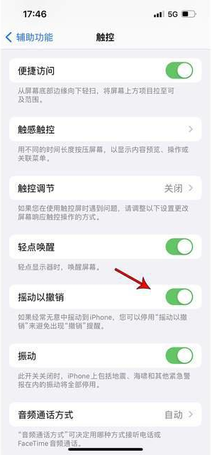 普兰店苹果手机维修分享iPhone手机如何设置摇一摇删除文字 