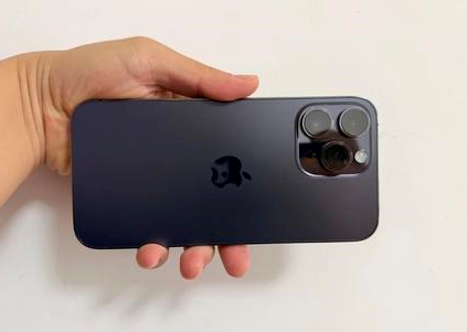 普兰店苹果维修点分享iPhone 14 Pro Max黑屏少见故障盘点 